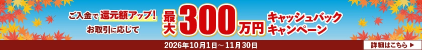 最大300万円キャッシュバックキャンペーン
