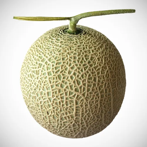 マスクメロン